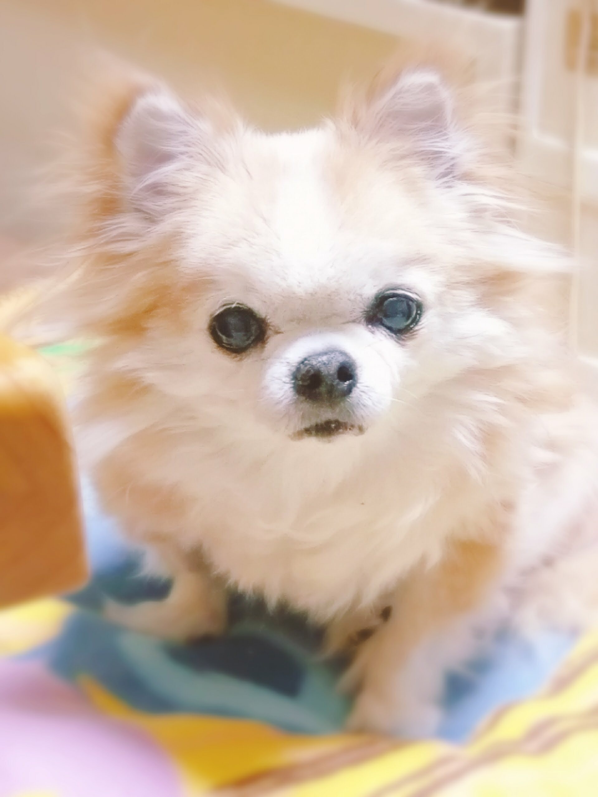 こっそりとね
