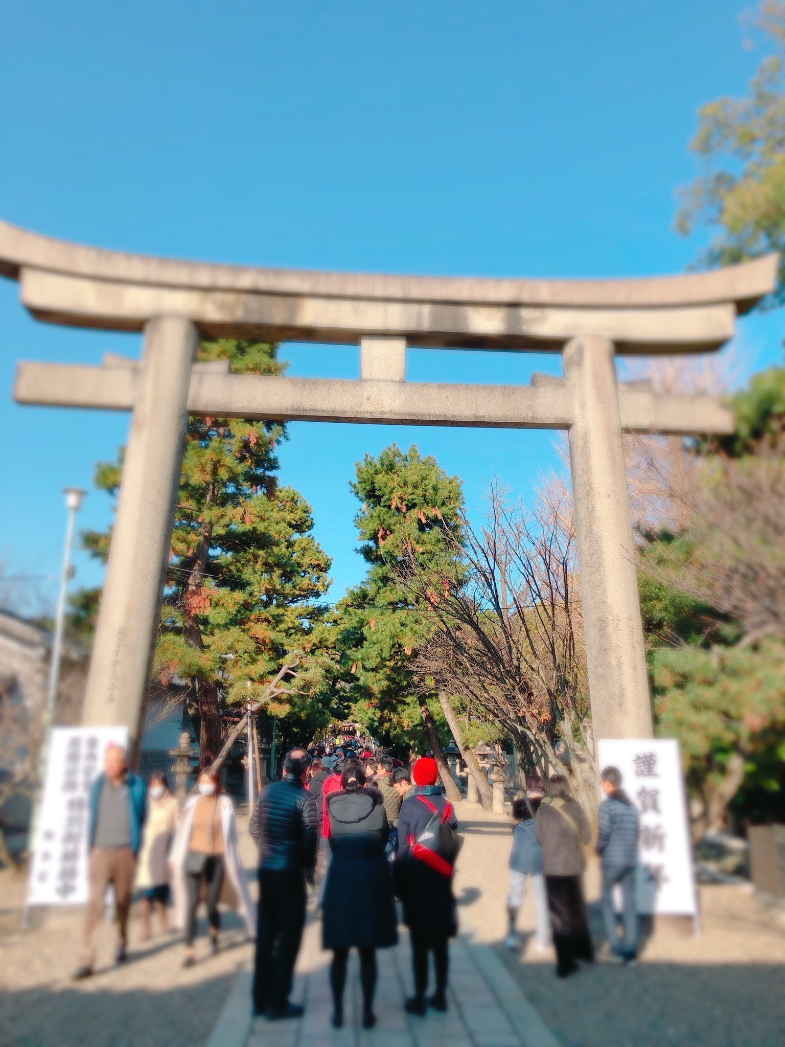 のんびり新年
