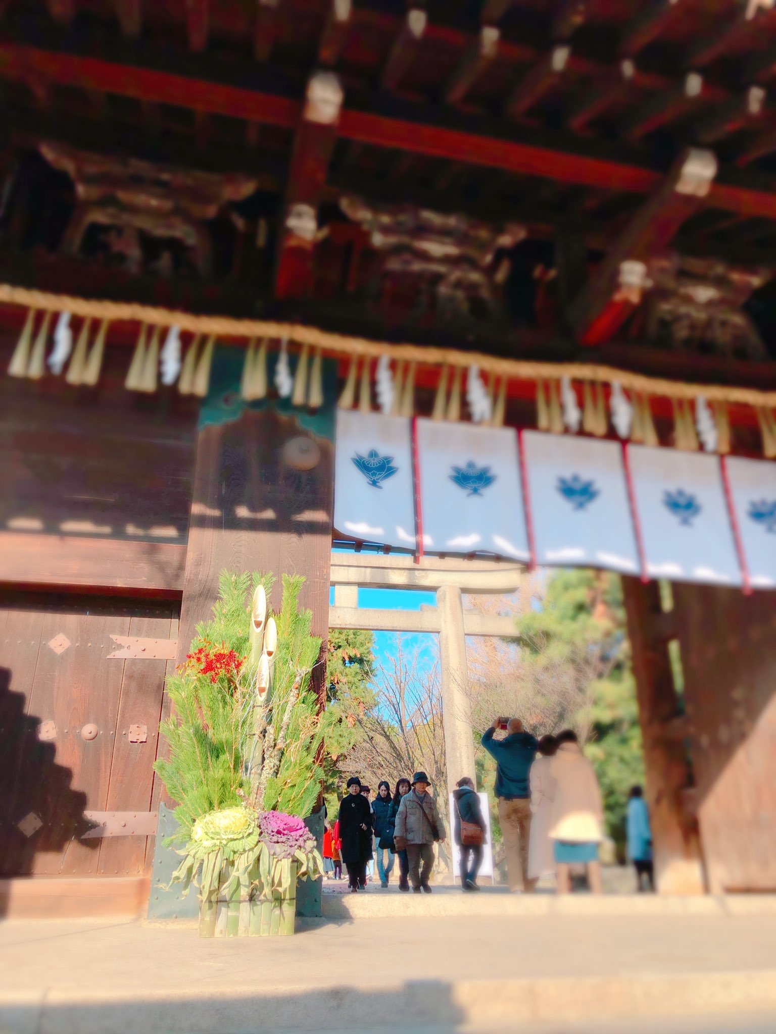 のんびり新年