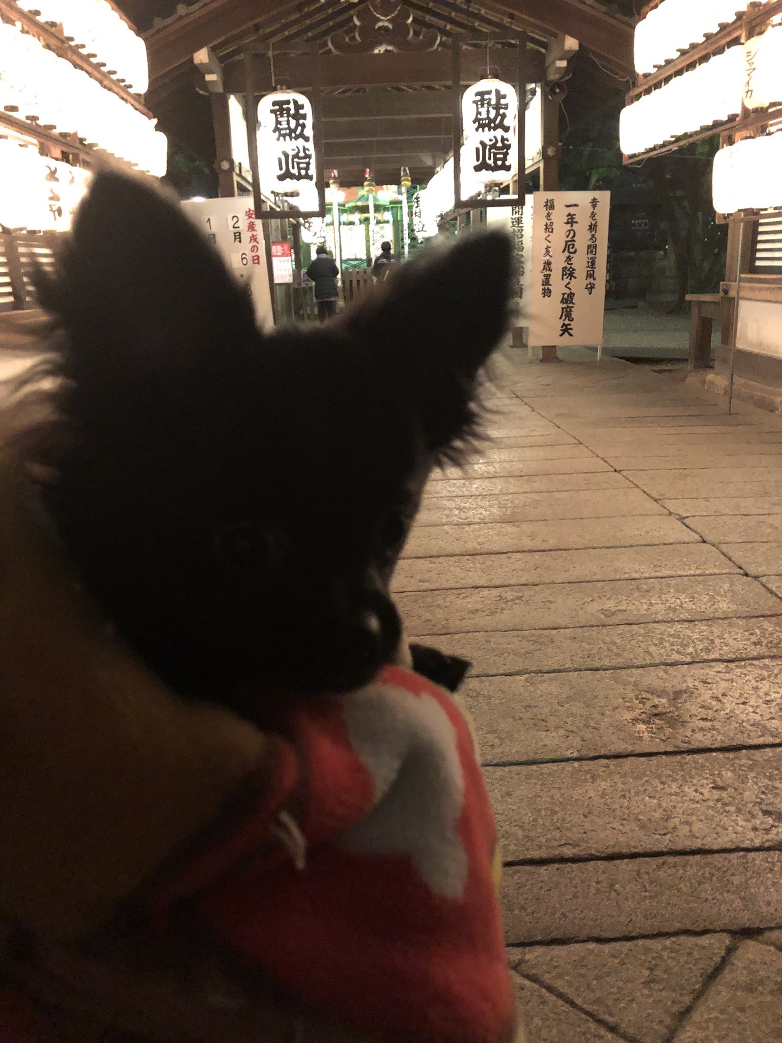 のんびり新年